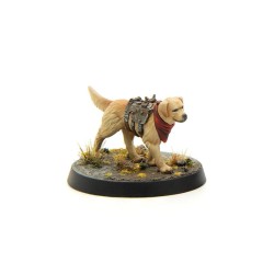 Préco - Fallout Wasteland Warfare - Wasteland Survivors Core Set (Plastic)