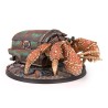 MUH190103 Fallout Wasteland Warfare - Creatures - Hermit Crab