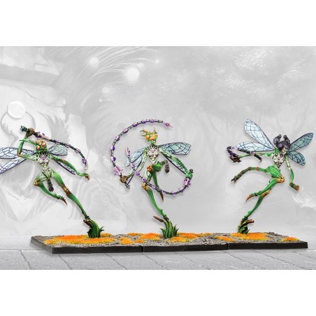 PBWC305_Weaver Courts - Scaile Dancers