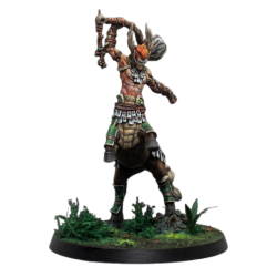 Préco - Warcrow - Eachann, the Great Centaurelfe (FR + ENG)