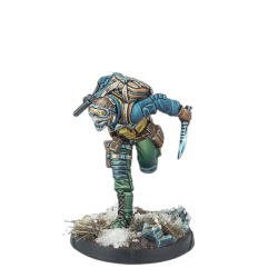 Préco - Infinity - Ariadna Support Pack