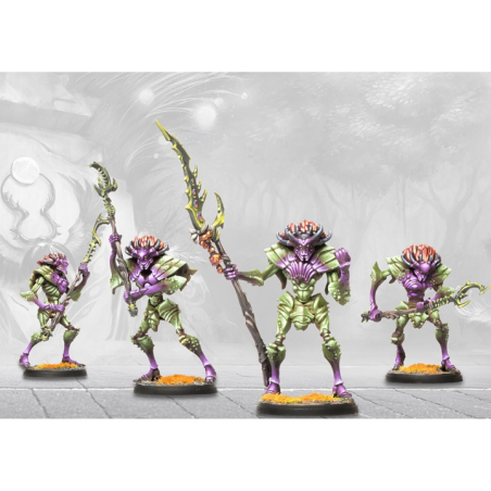 Conquest - Weaver Courts - Morrowen PBWC103