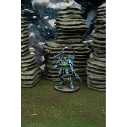 Préco - Infinity - Dragões, Acontecimento Dragoons