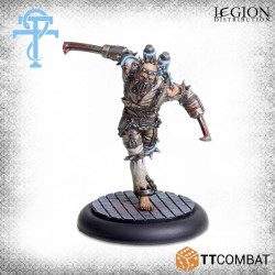 Préco - Carnevale - Patient 42 (ENG)