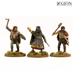 Préco - Victrix Miniatures - Dark Age Irish & Dogs