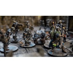 Maladum - Shards of Ascendance FR (PDF)