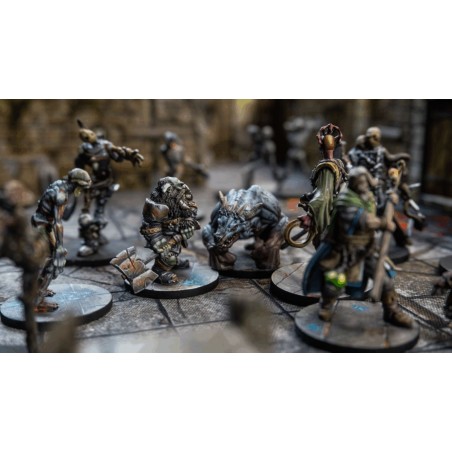 Maladum - Shards of Ascendance FR (PDF)