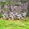 Préco - Victrix Miniatures - Medieval Warband
