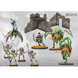 Préco - Conquest - Weaver Courts - First Blood Reinforcement Set