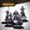 Préco - Warmachine - Dusk Fane of Nyrro - Court of Shadows