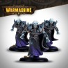 Préco - Warmachine - Dusk Fane of Nyrro - Court of Shadows