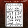 Préco - Victrix Miniatures - Imperial Roman Warband