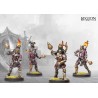 Conquest – Order Martyrs of St Lazarus Dual Kit