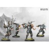 Conquest Hundred Kingdoms – Order of the Sword
