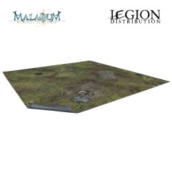 BSTXX036_Maladum - Forsaken Plain Gaming Mat 2x2