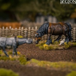 Préco - Victrix Miniatures - Farm Animals