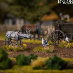 Préco - Victrix Miniatures - Farm Animals