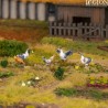 Préco - Victrix Miniatures - Farm Animals