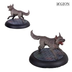 Kennel Master – Ludo Grimani et ses chiens de chasse