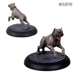 Kennel Master – Ludo Grimani et ses chiens de chasse