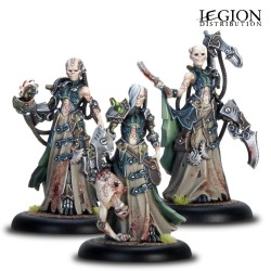 Warmachine - Cryx Necrofactorium - Wraithbinder’s Host