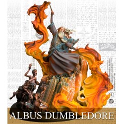 Harry Potter - Albus Dumbledore FR