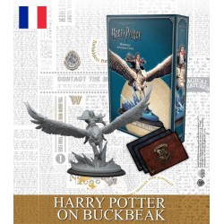 Harry Potter - Harry Potter sur Buck (FR)