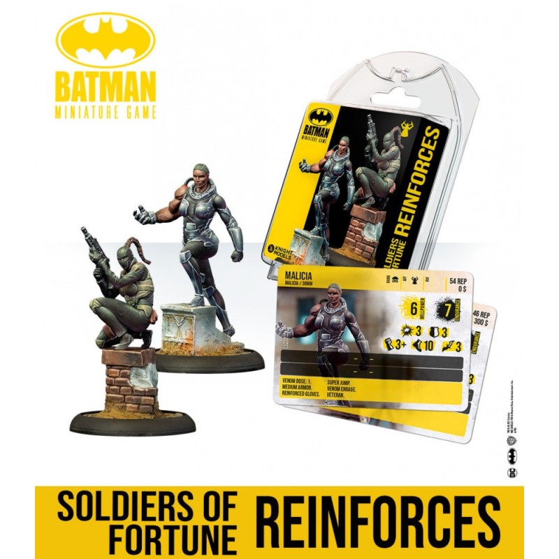 SOLDIERS OF FORTUNE REINFORCES