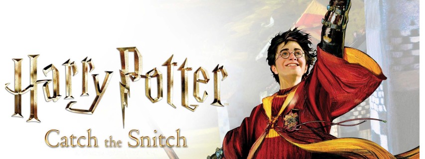 Harry Potter Slytherin Quidditch Maglietta, Uomo, S-2XL, Schwarz, Offizielle Ware : Popgear